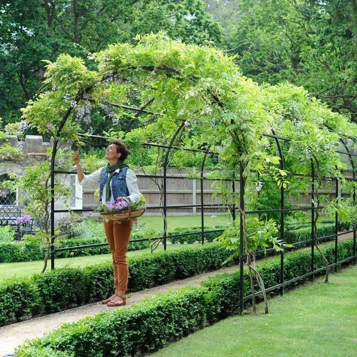 Roman Garden Pergola